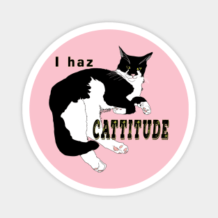 Cute Tuxedo Cat I haz attitude  Copyright TeAnne Magnet